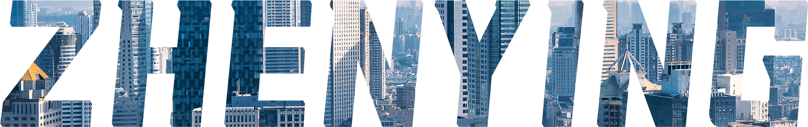 Corporate Vision